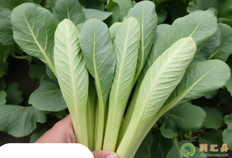 С�Ͳ˺�ʲôʳ����˲���һ���